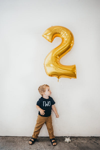 Boys Second Birthday "TWO" Black Tshirt, Short or Long Sleeve, Boy's Birthday 296