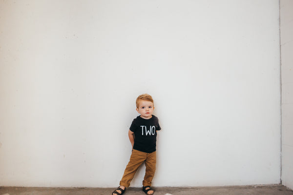 Boys Second Birthday "TWO" Black Tshirt, Short or Long Sleeve, Boy's Birthday 296